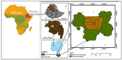Joint modeling of rainfall and temperature in Bahir Dar, Ethiopia: Application of copula
